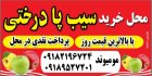 سیب پادرختی در نهاوند در گروه خرید و فروش سیب در یکمیوه