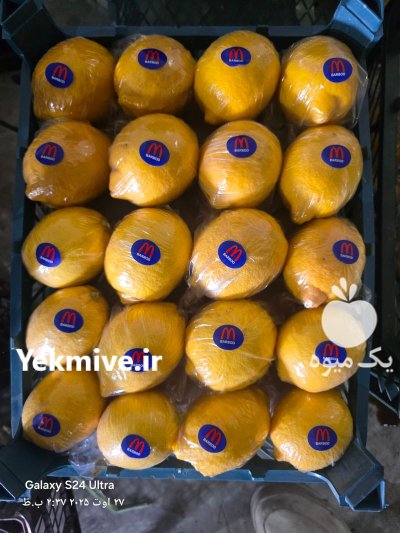 فروش لیمو سنگی در داراب در گروه خرید و فروش لیمو ترش در یکمیوه -عکس1