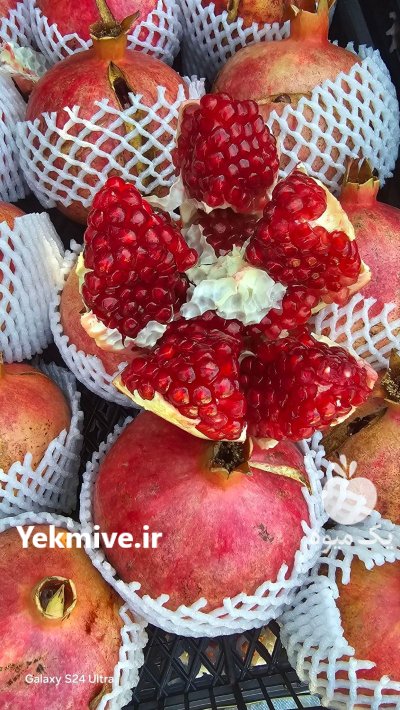 انار فروش انار در داراب در گروه خرید و فروش انار در یکمیوه -عکس2