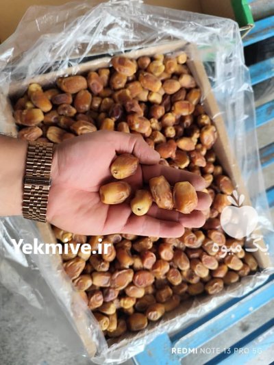فروش خرمای زاهدی در داراب در گروه خرید و فروش خرما در یکمیوه -عکس2