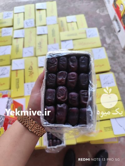 خرما خرمای مضافتی در داراب در گروه خرید و فروش خرما در یکمیوه -عکس1