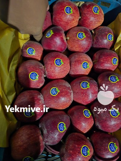 فروش سیب قرمز در داراب در گروه خرید و فروش سیب در یکمیوه -عکس1