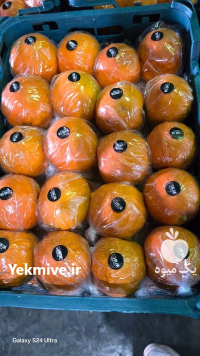 نارنج فروش نارنج در داراب در گروه خرید و فروش نارنج در یکمیوه -عکس2