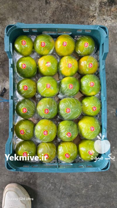 نارنج فروش نارنج در داراب در گروه خرید و فروش نارنج در یکمیوه -عکس3