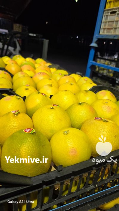 فروش گریپ فروت در داراب در گروه خرید و فروش گریپ فروت در یکمیوه -عکس1