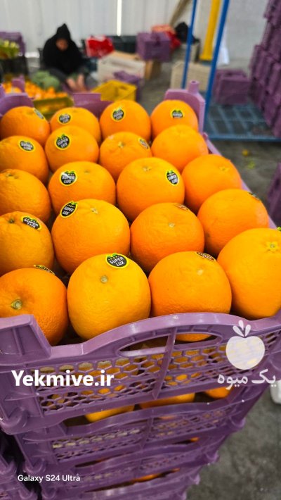 فروش نارنگی در داراب در گروه خرید و فروش نارنگی در یکمیوه -عکس2