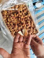 فروش خرمای زاهدی در داراب در گروه خرید و فروش خرما در یکمیوه