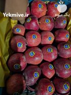 فروش سیب قرمز در داراب در گروه خرید و فروش سیب در یکمیوه