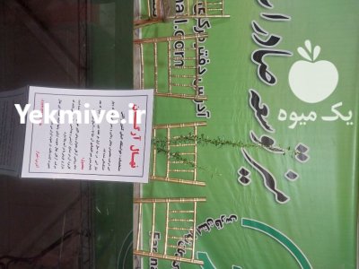 نهال آرگان اصل با ضمانت در شیراز در گروه خرید و فروش نهال شناسنامه دار در یکمیوه -عکس3
