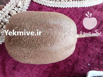 کیوی صادراتی و داخلی در رشت در گروه خرید و فروش کیوی در یکمیوه -عکس1