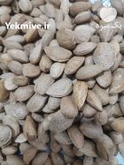 بادام درختی دیم در نیشابور در گروه خرید و فروش بادام در یکمیوه
