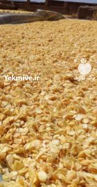 سیر خلال خشک همدان سفید در گروه خرید و فروش میوه خشک در یکمیوه