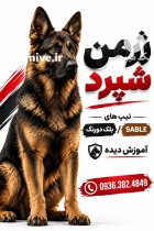 سگ ژرمن شپرد در تهران در گروه سگ و گربه در یکمیوه