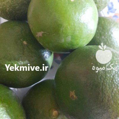 نارنگی ژاپنی پچ پرتقال تامسون کاراکارا در ساری در گروه خرید و فروش پرتقال در یکمیوه -عکس1