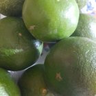 نارنگی ژاپنی پچ پرتقال تامسون کاراکارا در ساری در گروه خرید و فروش پرتقال در یکمیوه