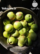 فروش شلیل شمس کرج درجه 1 در البرز در گروه خرید و فروش شلیل در یکمیوه