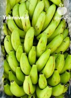 فروش عمده موز سبز چابهار مستقیم در زاهدان در گروه خرید و فروش موز در یکمیوه