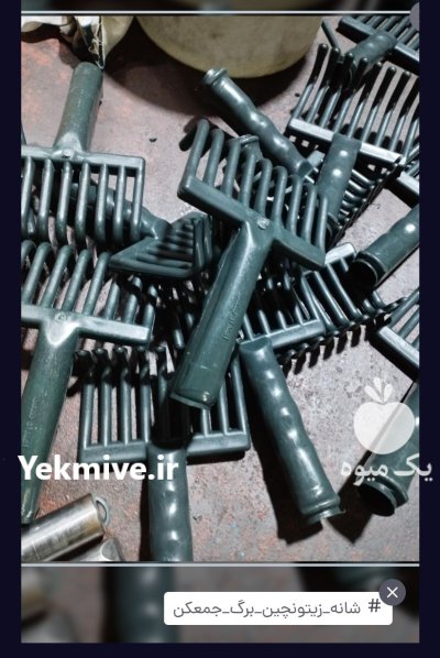 شانه چنگک زیتونچین در کوار در گروه خرید و فروش زیتون در یکمیوه -عکس4