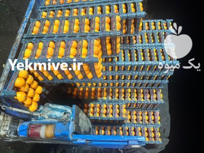 نیازمند باربارکن در کرج در گروه بار بارکن محصولات کشاورزی در یکمیوه -عکس2