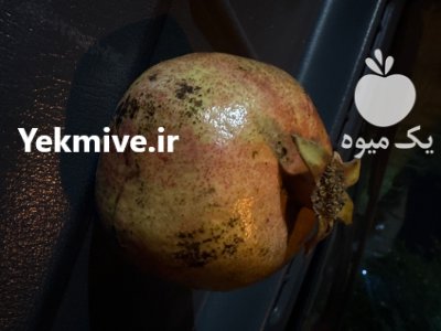 انار بهشهر شیرین درجه یک تازه در مازندران در گروه خرید و فروش انار در یکمیوه -عکس1