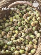 انجیر سوپر لوکس ارگانیک و نوبرانه در شیراز در گروه خرید و فروش انجیر در یکمیوه