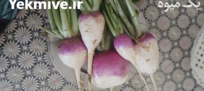 شلغم خوراکی در گلپایگان در گروه خرید و فروش شلغم در یکمیوه -عکس2