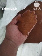 فروش خاکشیر در مرودشت در گروه خرید و فروش گیاهان دارویی در یکمیوه