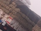 فروش یونچه پرس شده خشک بدون در یزد در گروه خوراک دام و طیور در یکمیوه