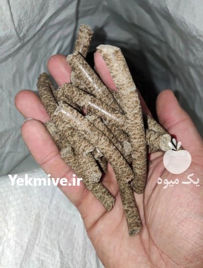 سیاهدانه کنجد مغز تخمه کرچک مغز در اصفهان در گروه خرید و فروش دانه های روغنی در یکمیوه -عکس2