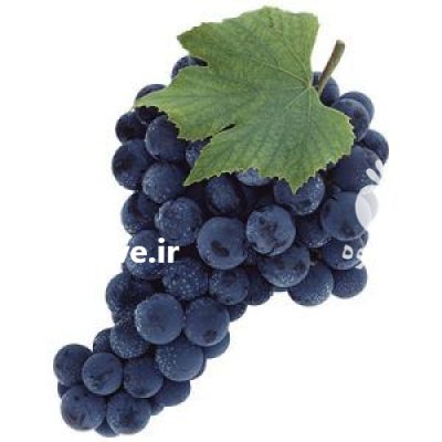 غرفه داریم در میدان مرکزی میوه در اصفهان در گروه حق العمل کاری محصولات کشاورزی در یکمیوه -عکس1