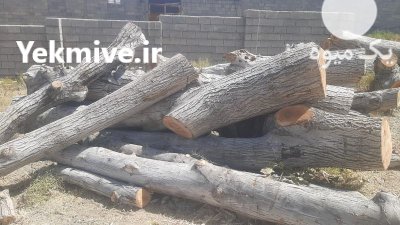 فروش چوب گردو در بوانات در گروه خرید و فروش انواع چوب در یکمیوه -عکس1
