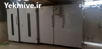 فروش دستگاه میوه خشک کنی در صحنه در گروه خشک کن در یکمیوه -عکس1