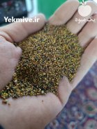 فروش بذر شبدر در آستارا در گروه خرید و فروش انواع بذر در یکمیوه