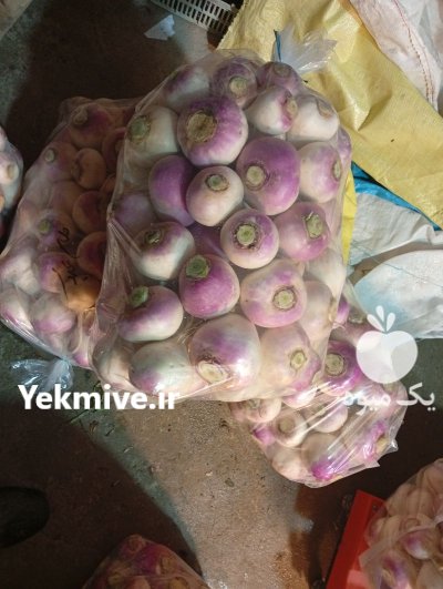 شلغم ترب اوشین در بوکان در گروه خرید و فروش شلغم در یکمیوه -عکس1