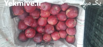 سیب قرمز استخوانی ابدار در کرج در گروه خرید و فروش سیب در یکمیوه -عکس1