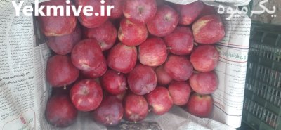 سیب قرمز استخوانی ابدار در کرج در گروه خرید و فروش سیب در یکمیوه -عکس3