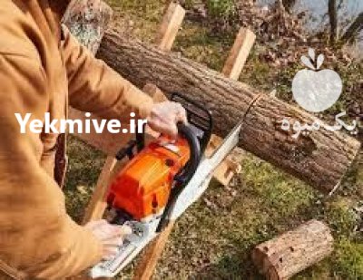 برش و خرید درختان خشک شما در اصفهان در گروه خرید و فروش چوب درخت در یکمیوه -عکس1