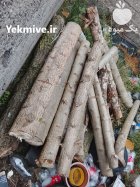 چوب چنار بریده شده اندازه 125 در آستارا در گروه خرید و فروش انواع چوب در یکمیوه