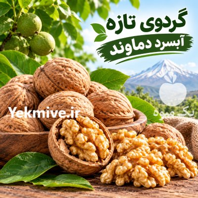 فروش گردو محلی در آبسرد در گروه خرید و فروش گردو در یکمیوه -عکس1