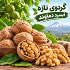 فروش گردو محلی در آبسرد در گروه خرید و فروش گردو در یکمیوه