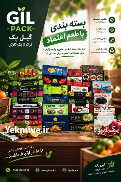 صنایع بسته بندی و کارتن سازی گیل در رشت در گروه خرید و فروش انواع بسته بندی کارتن در یکمیوه -عکس2