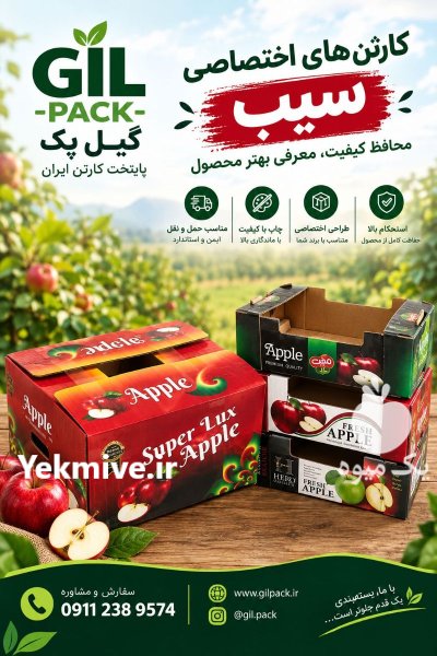 صنایع بسته بندی و کارتن سازی گیل در رشت در گروه خرید و فروش انواع بسته بندی کارتن در یکمیوه -عکس1