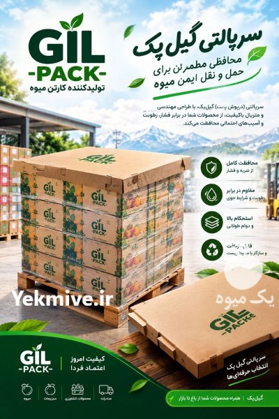 صنایع بسته بندی و کارتن سازی گیل در رشت در گروه خرید و فروش انواع بسته بندی کارتن در یکمیوه -عکس3