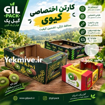 صنایع بسته بندی و کارتن سازی گیل در رشت در گروه خرید و فروش انواع بسته بندی کارتن در یکمیوه -عکس4