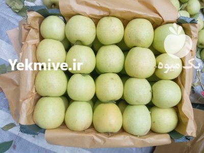 فروش سیب قرمز فله ای سفید در اشنویه در گروه خرید و فروش سیب در یکمیوه -عکس1